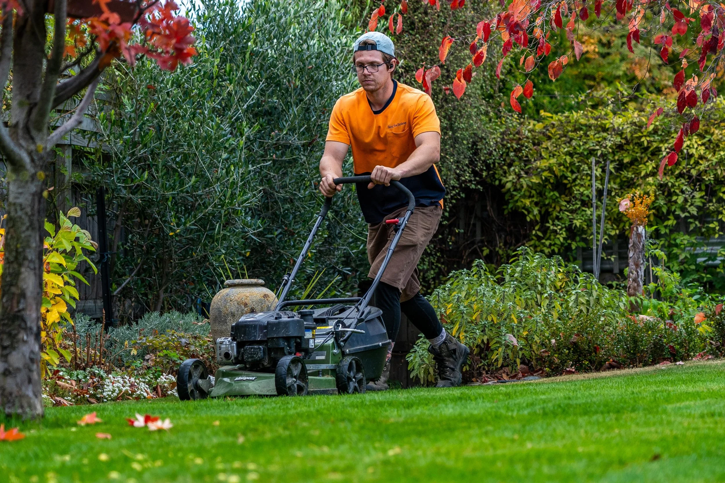 evergreen garden services